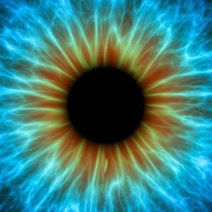 Computer artwork closeup of an iris and the pupil of an eye.